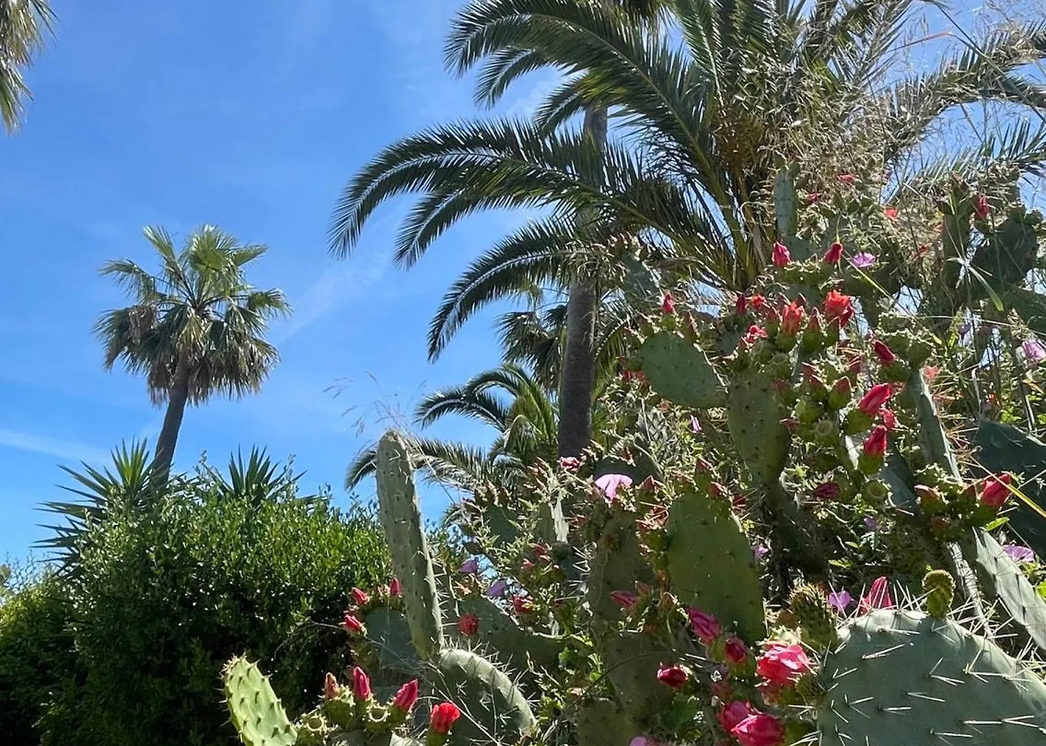 דירות קארבואירו Casa Atlantida Golfemar 0*,  פורטוגל